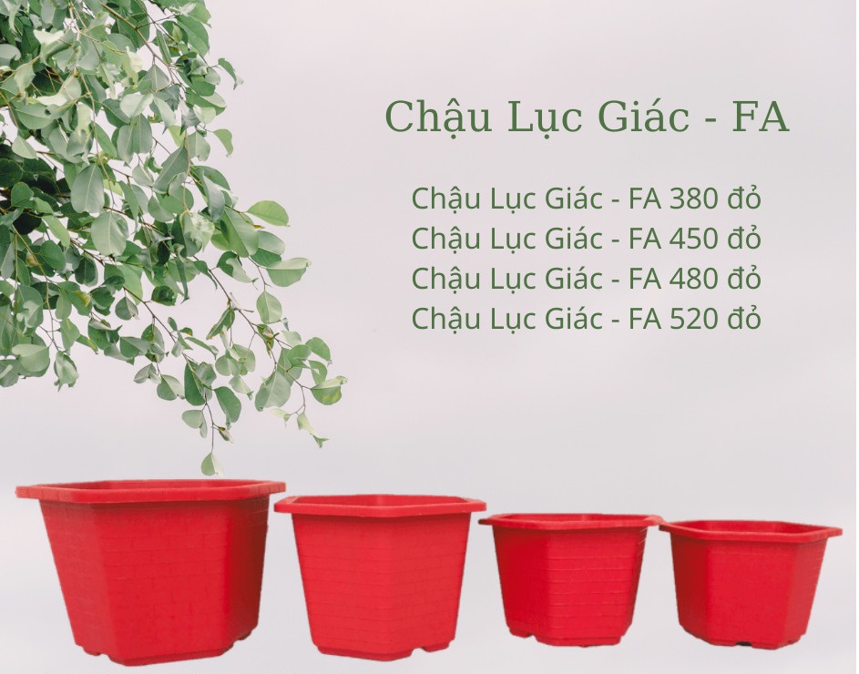 Chậu lục giác nhựa - FA