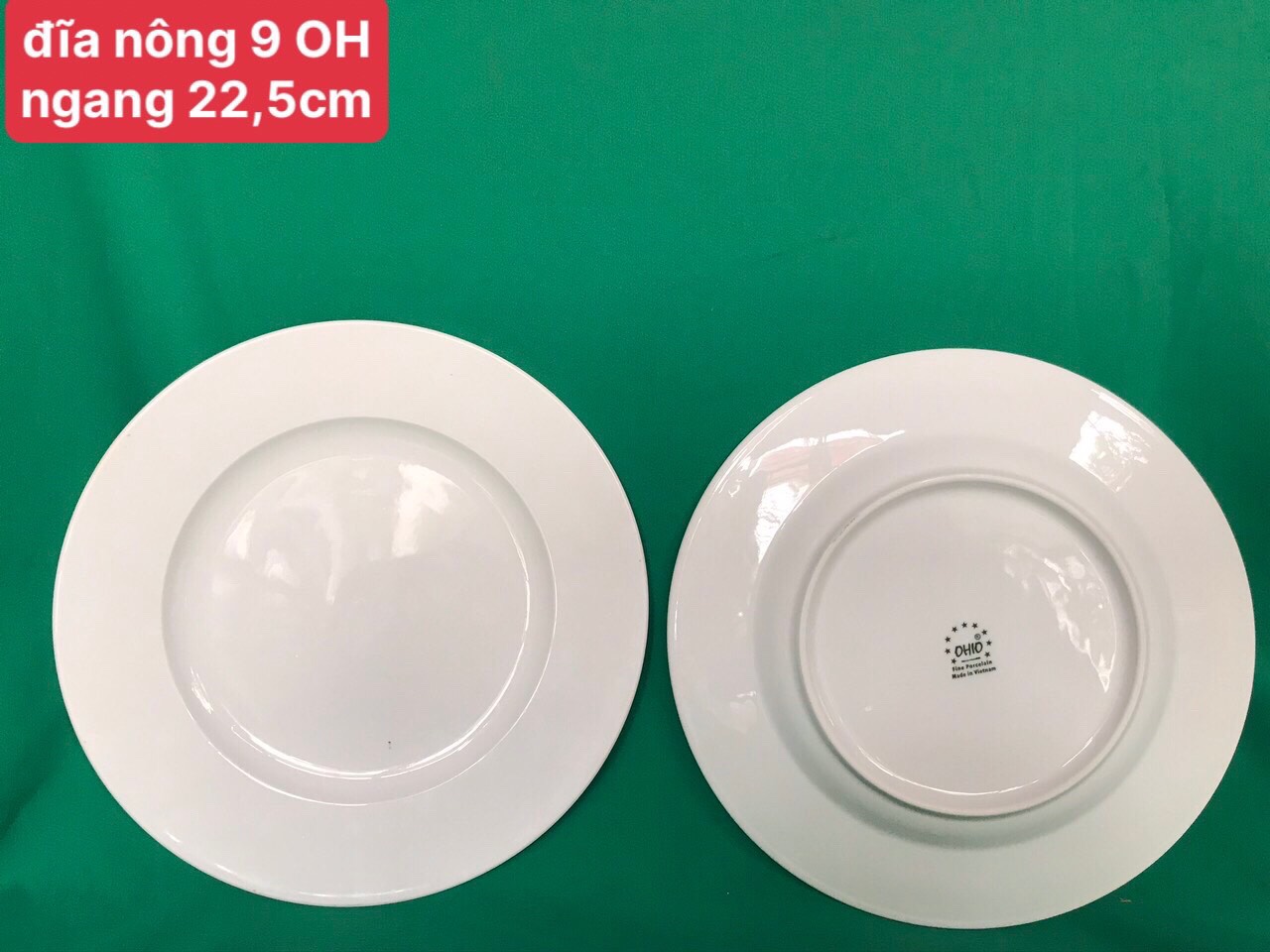 Đĩa nông 9 trắng OHIO