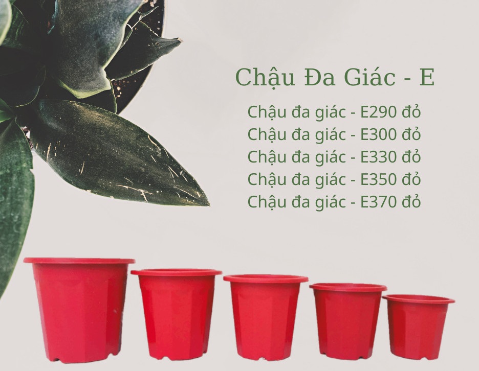 Chậu đa giác nhựa