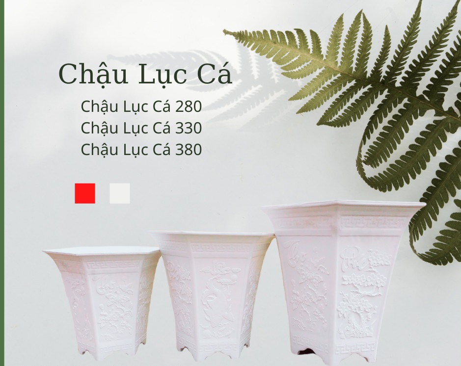 Chậu lục cá