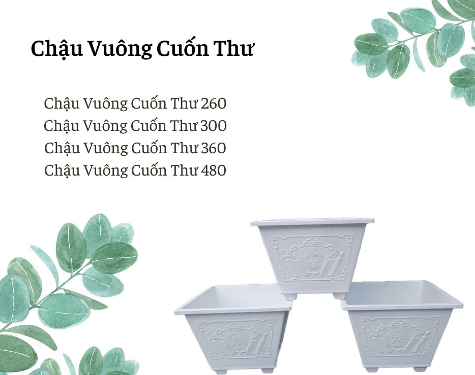 Chậu nhựa vuông cuốn thư