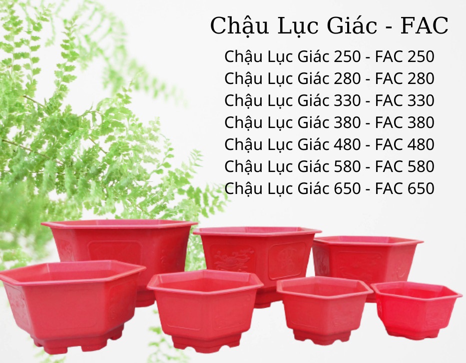 Chậu lục giác - FAC