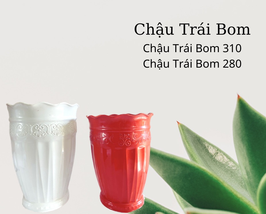 Chậu trái bom
