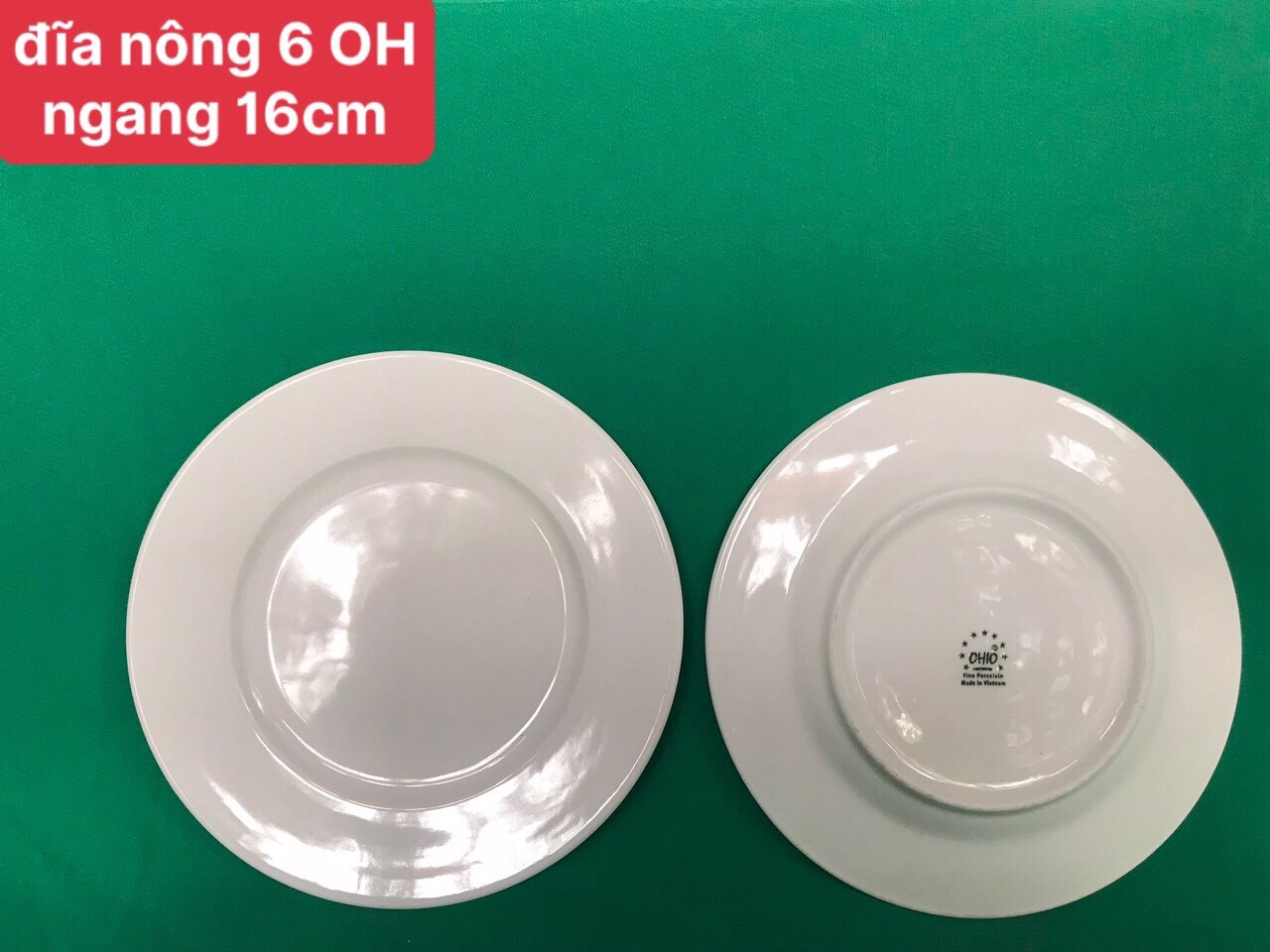 Đĩa nông 6 trắng OHIO