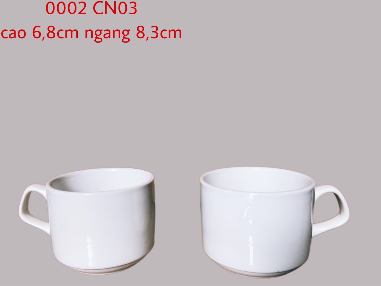 Cốc quai CN03